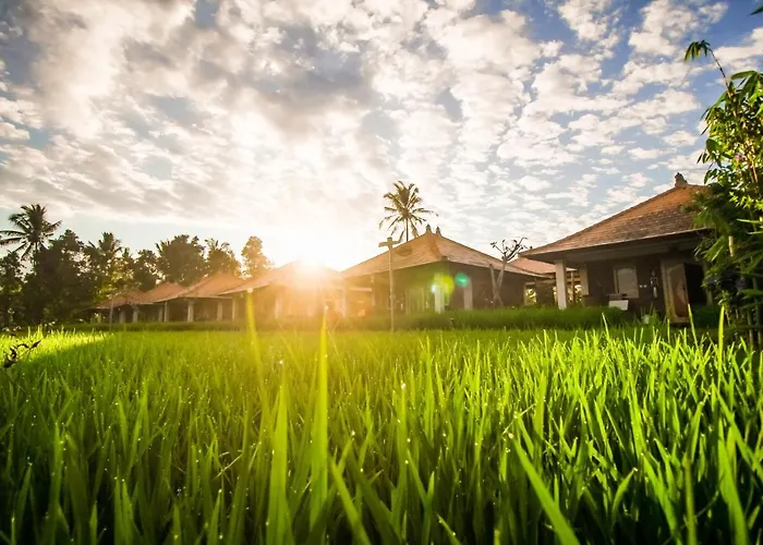 Sri Lestari Banyuatis
